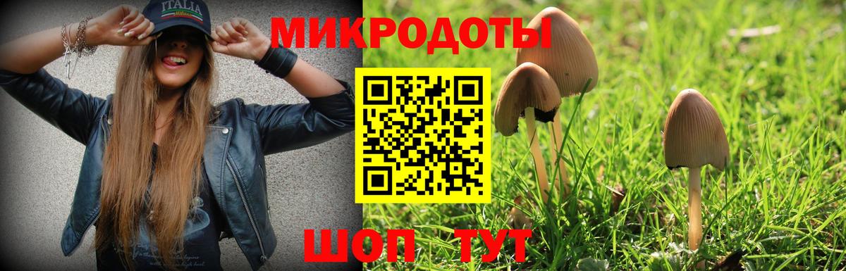 Моздок  Псилоцибиновые грибы Cubensis  Вход с VPN 